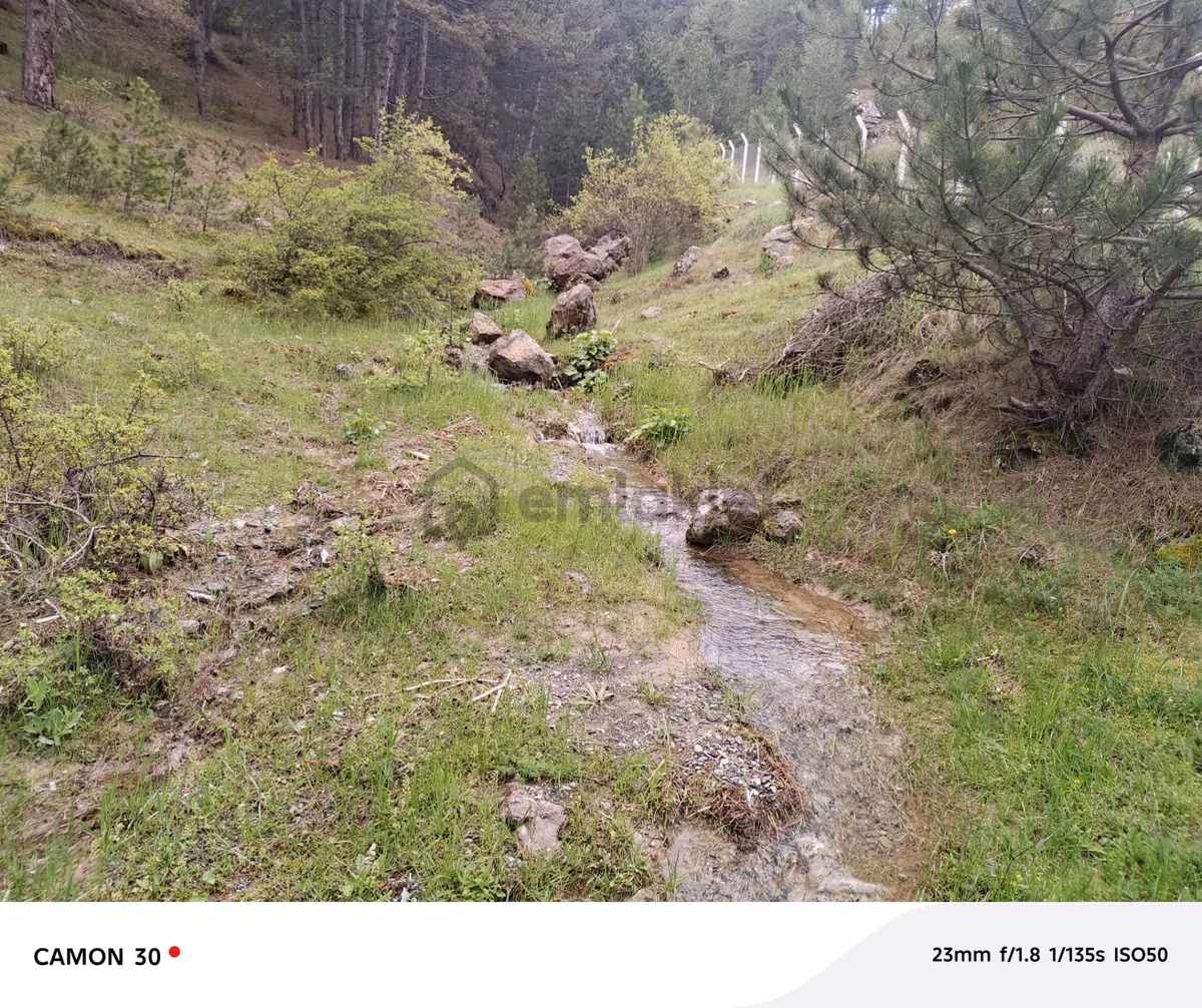 Kastamonu -tosya Kargın Köyü'nde Satılık Tarla - 8