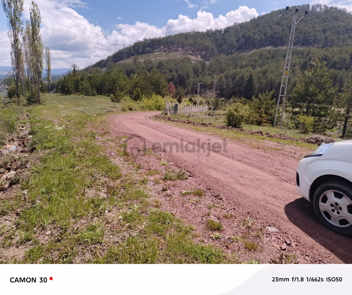 Kastamonu -tosya Kargın Köyü'nde Satılık Tarla - 4