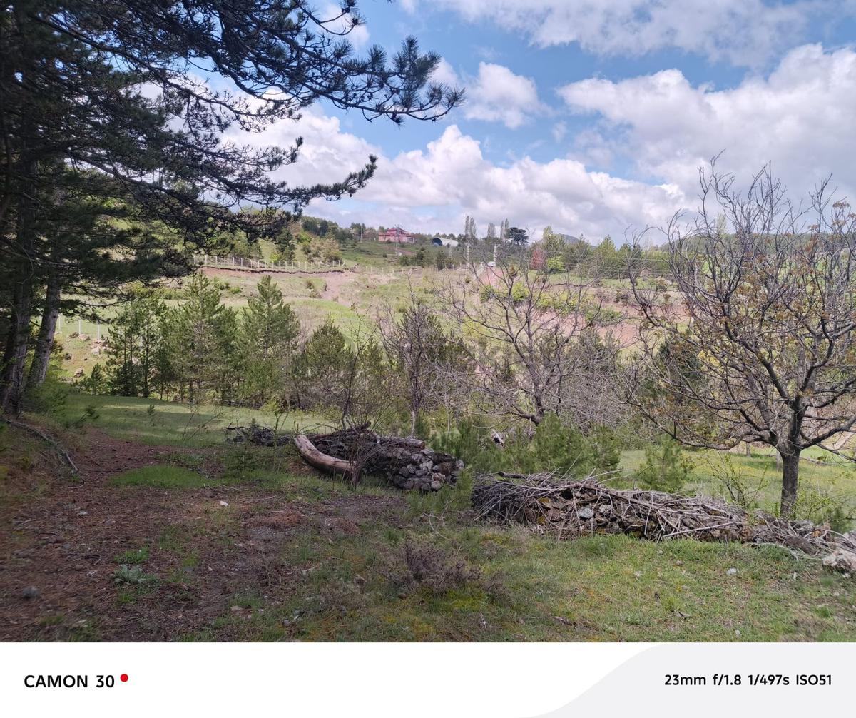 Kastamonu -tosya Kargın Köyü'nde Satılık Tarla - 19