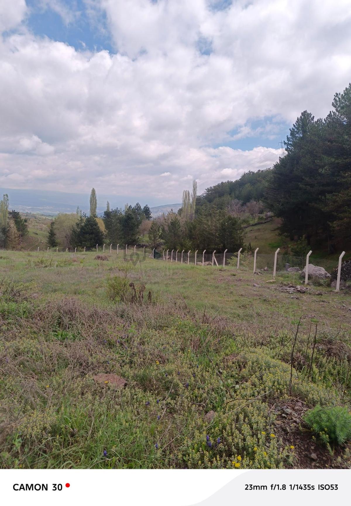 Kastamonu -tosya Kargın Köyü'nde Satılık Tarla - 17