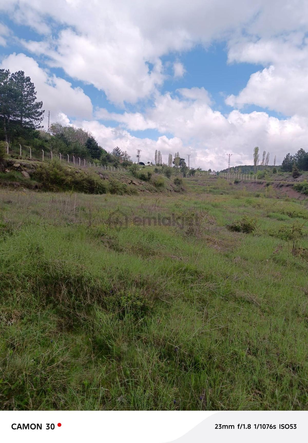 Kastamonu -tosya Kargın Köyü'nde Satılık Tarla - 16
