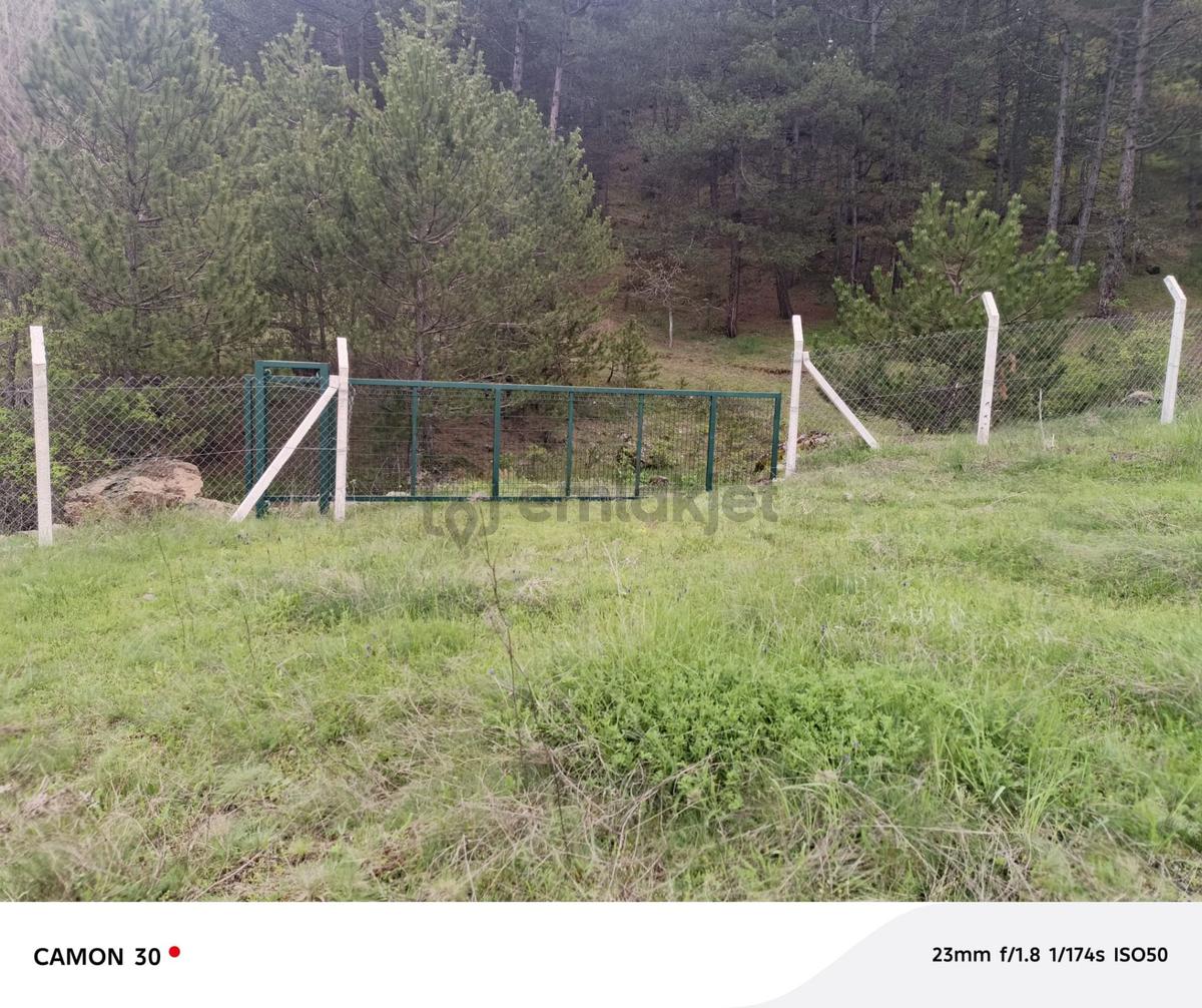 Kastamonu -tosya Kargın Köyü'nde Satılık Tarla - 10