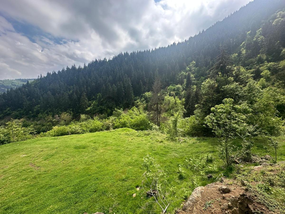 Trabzon Maçka'da Satılık Arazi - 16