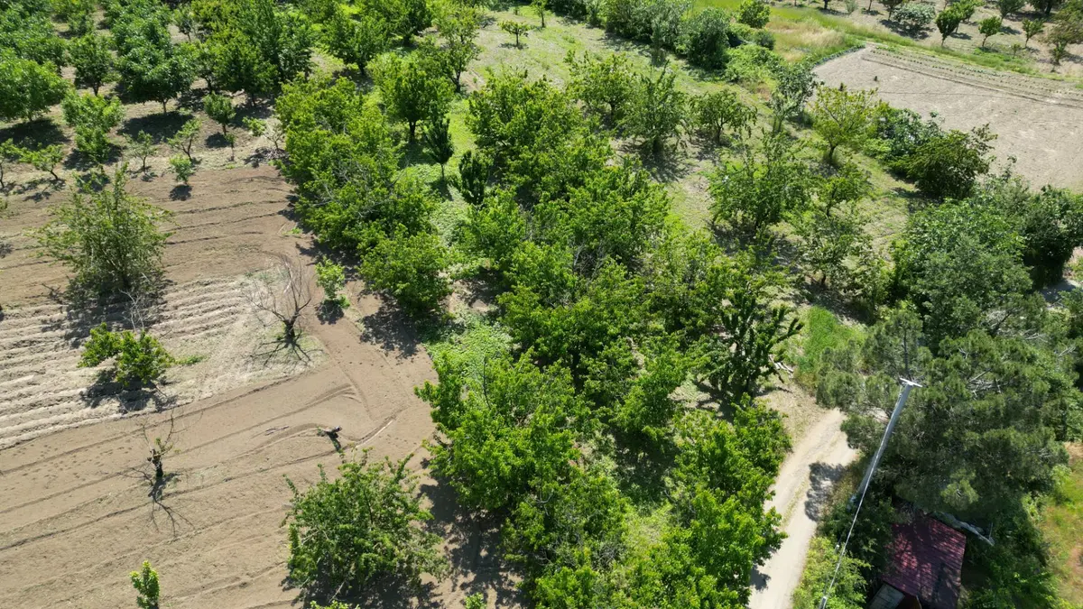 Uzmanlar'dan Karamürsel Akçat 1440 M2 %5 İmarlı Satılık Meyve Bahçesi - 19