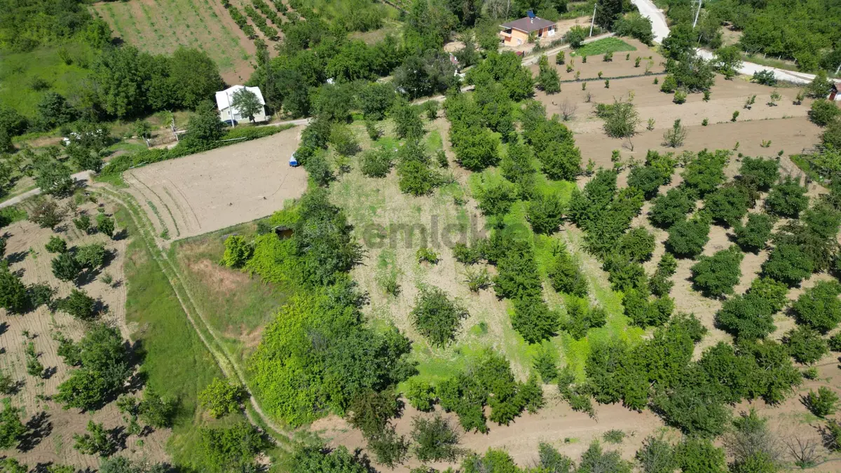 Uzmanlar'dan Karamürsel Akçat 1440 M2 %5 İmarlı Satılık Meyve Bahçesi - 16