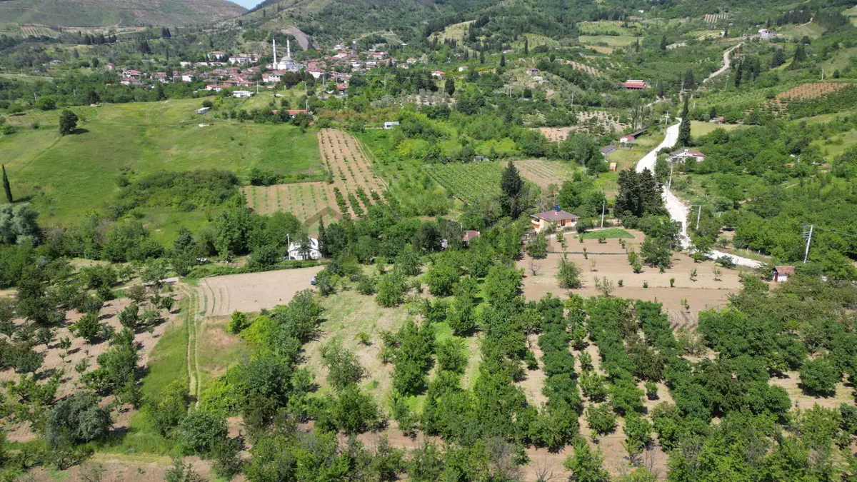 Uzmanlar'dan Karamürsel Akçat 1440 M2 %5 İmarlı Satılık Meyve Bahçesi - 13