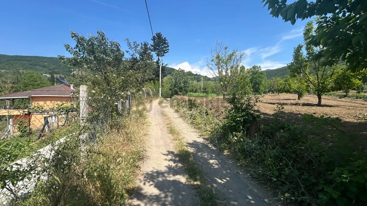 Uzmanlar'dan Karamürsel Akçat 1440 M2 %5 İmarlı Satılık Meyve Bahçesi - 21