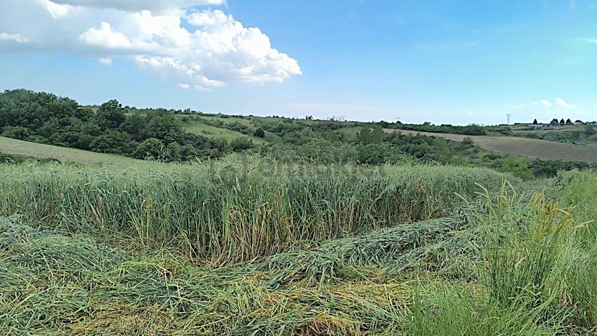 Sahibinden Acil Kapaklı Bahceal Mh. 1820m2 Arazi - 3