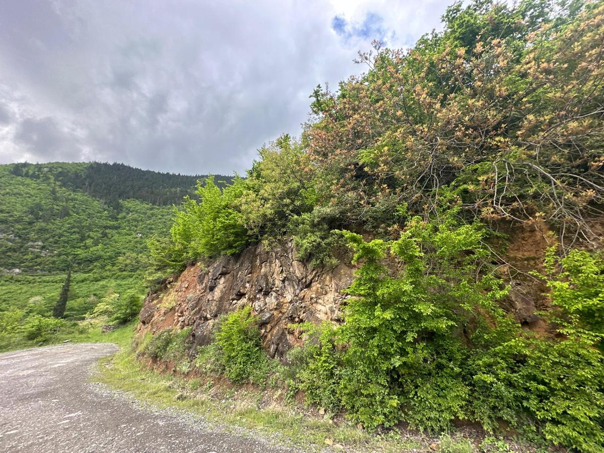 Trabzon Maçka'da Satılık Arazi - 13