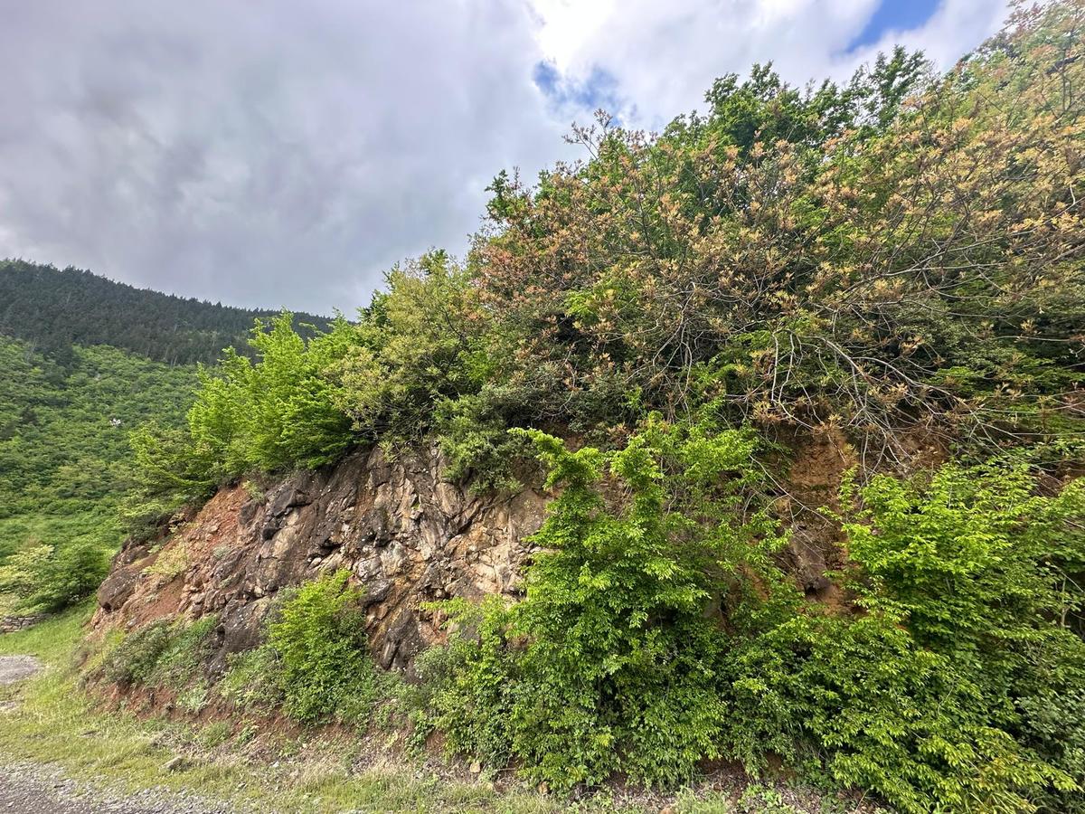 Trabzon Maçka'da Satılık Arazi - 23