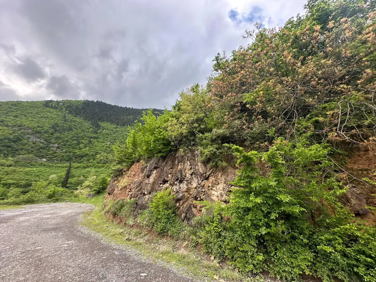 Trabzon Maçka'da Satılık Arazi - 6