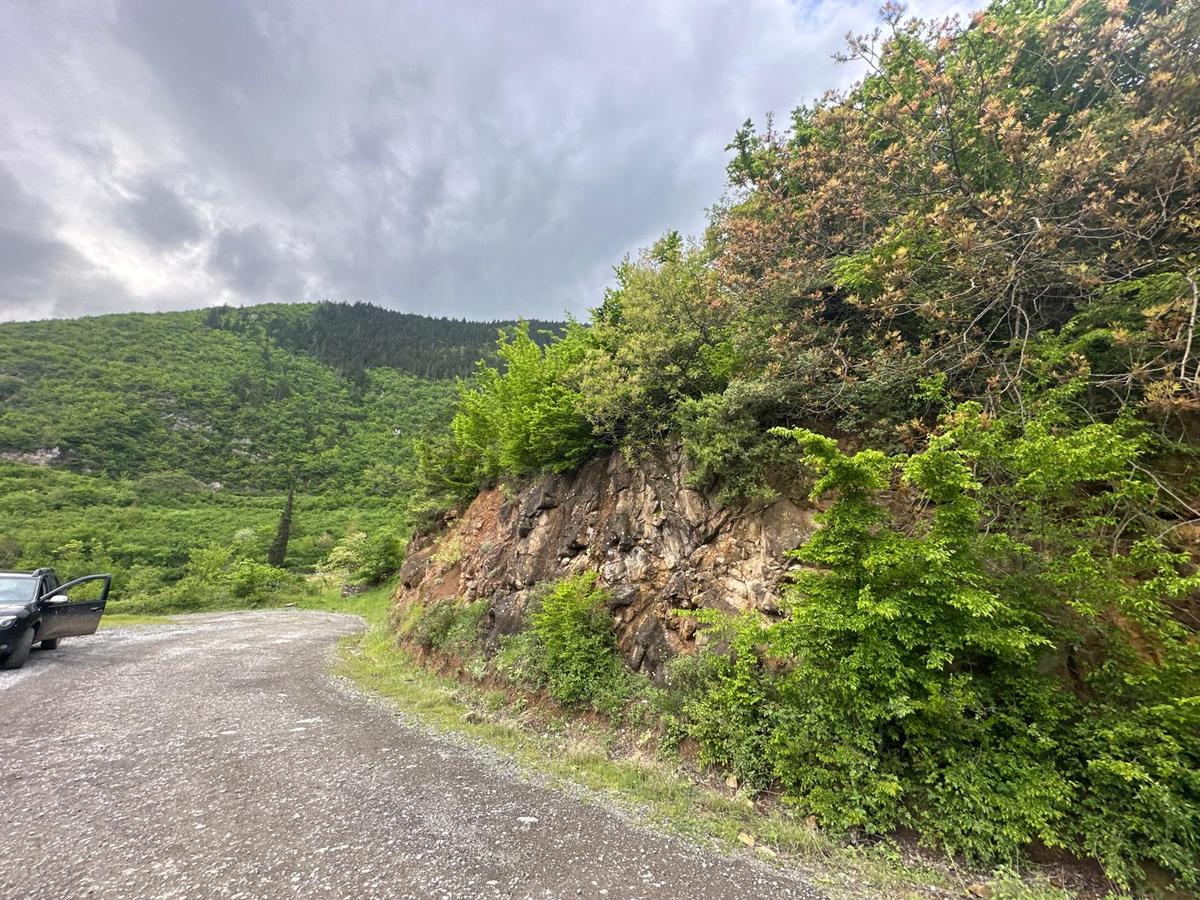 Trabzon Maçka'da Satılık Arazi - 17