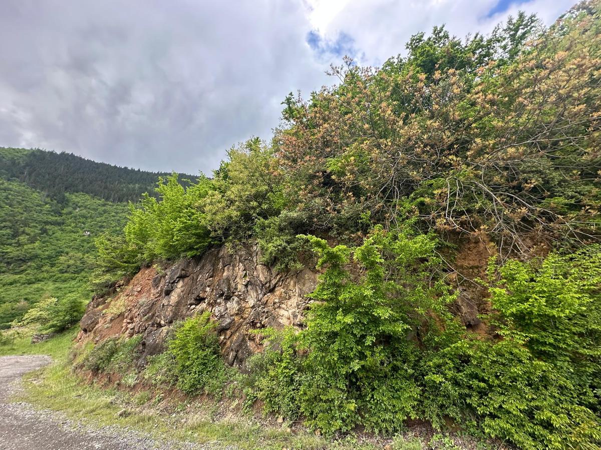 Trabzon Maçka'da Satılık Arazi - 21