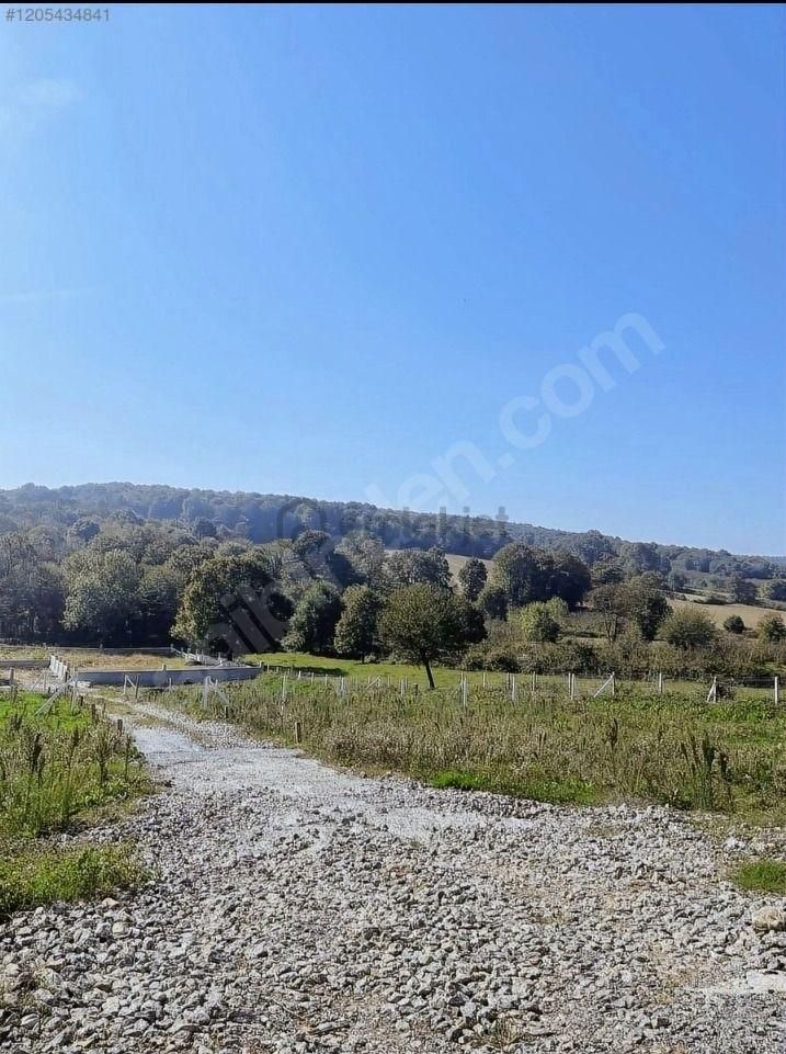 Sakarya Kaynarca Turnalı %40 İmarlı Satılık Arsa - 6