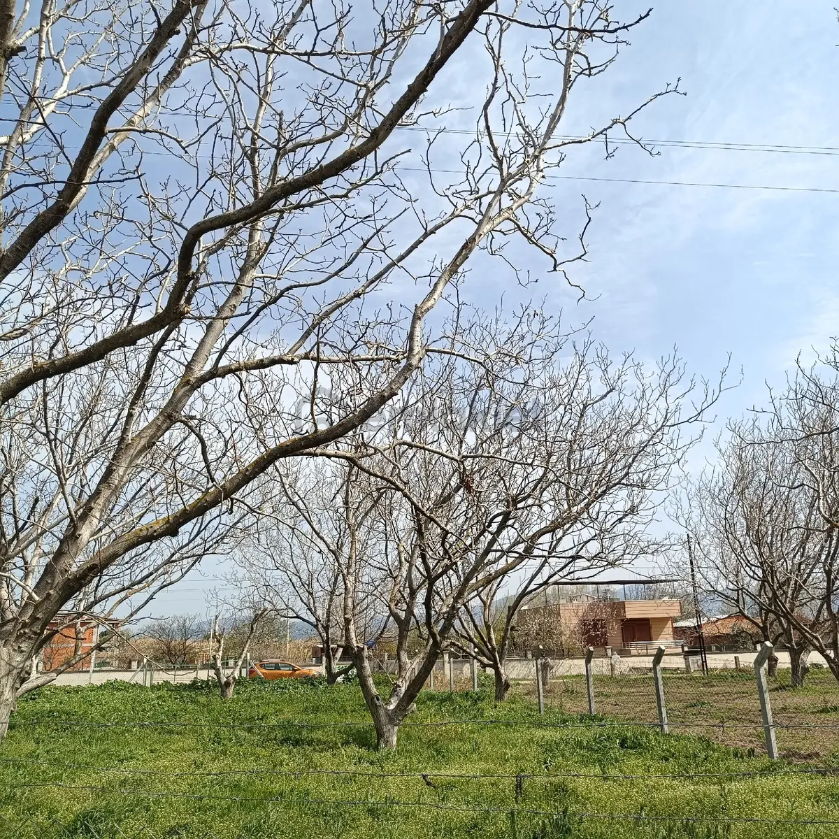 Sahibinden Burhaniye Çoruk Mahallesinde Satılık Arsa - 3