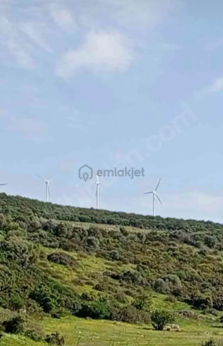 Arga'dan Didim Akyeniköyde 374m2 Satılık Arsa - 3