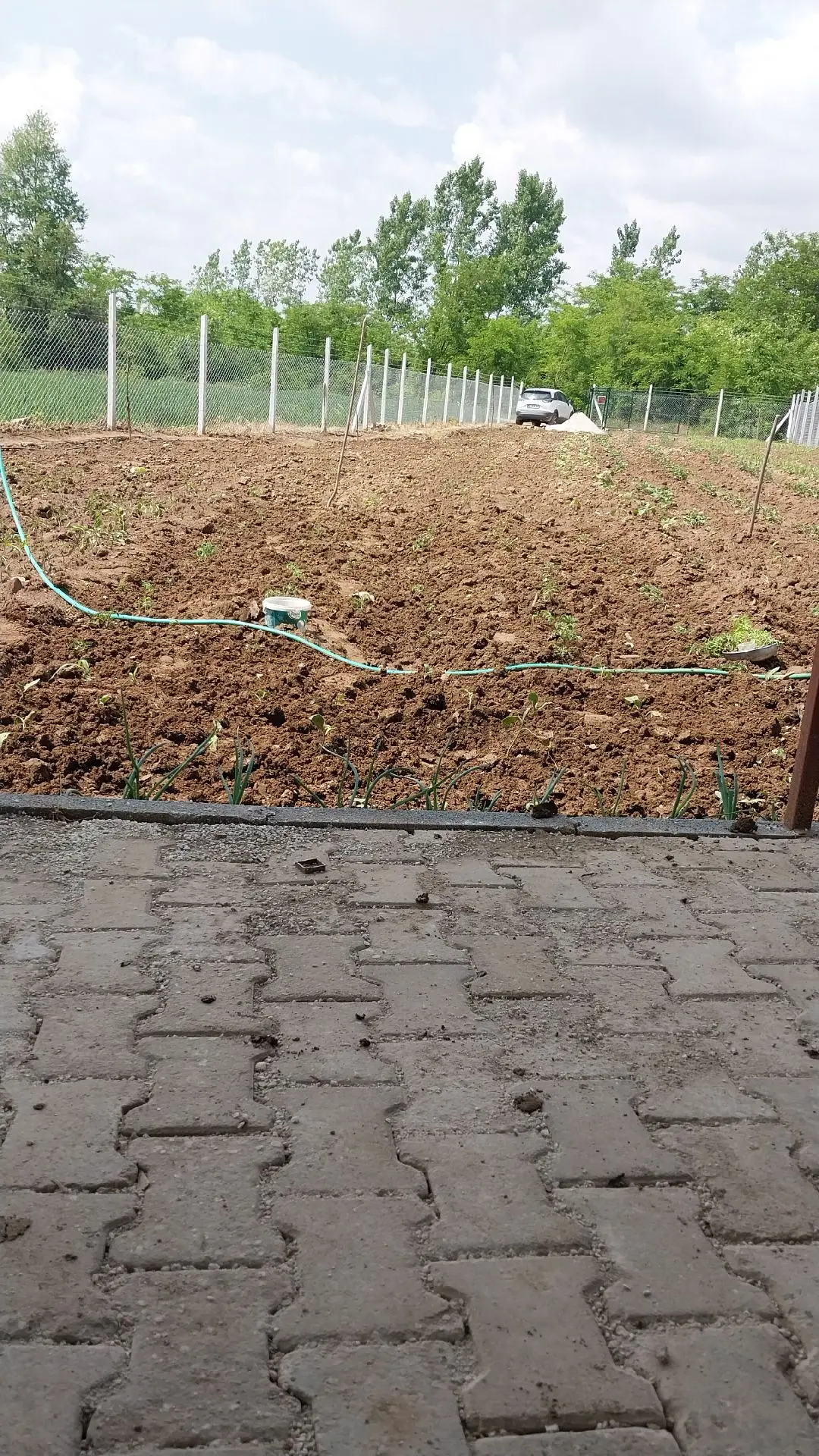 Sahibinden Yol Kenarı Suyu Var. Muazzam Bir Bahce - 12