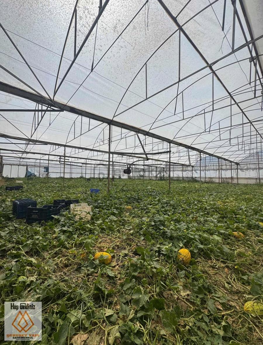 Antalya Aksu Dumanlar Mahallesi Müstakil 6,277 M2 Arsalı - 11