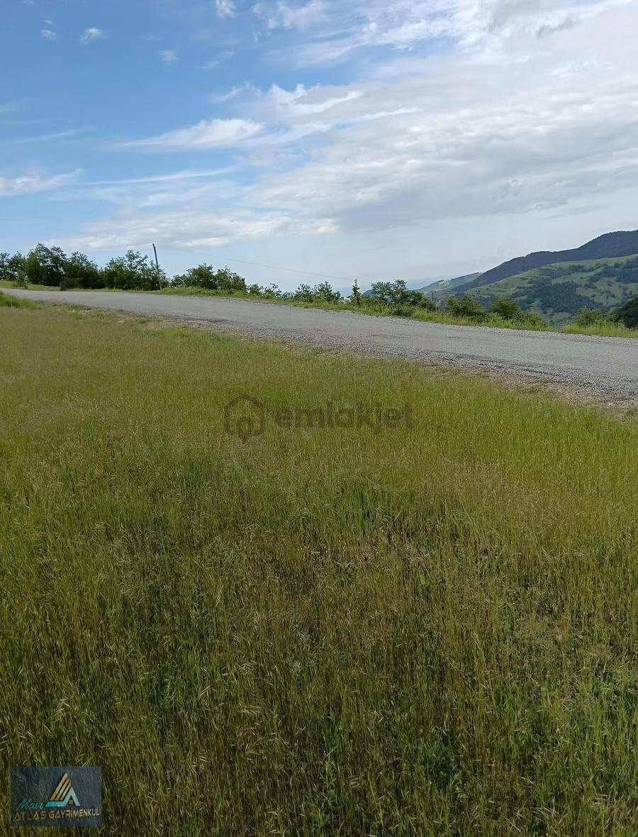 Samsun Alaçam Da 4465 M2 Satılık Tarla