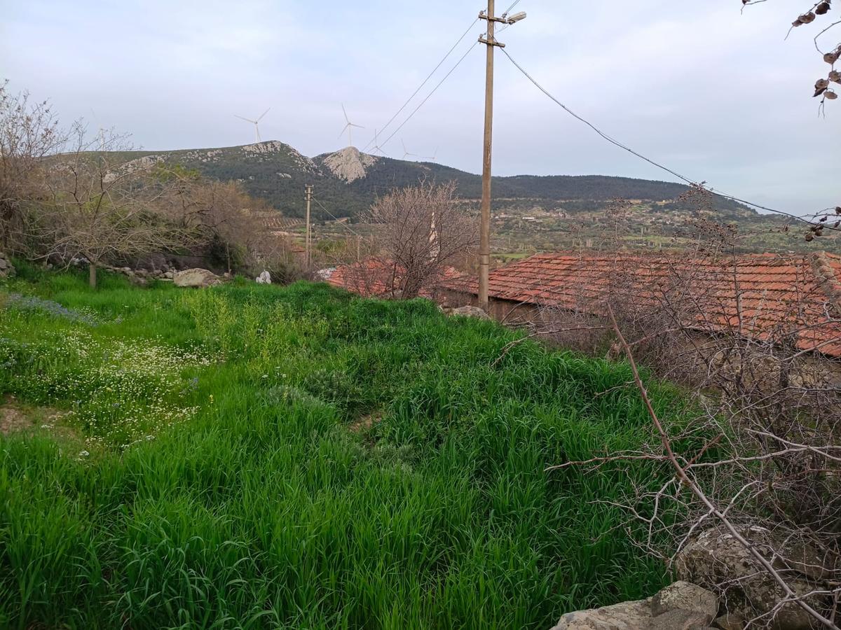 Durmuşlar'da 166 M2 Köy İçi İmarlı Arsa - 5