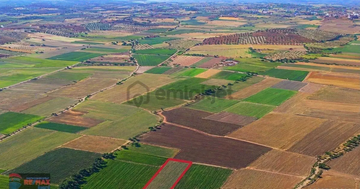 Re/max İnci'den Bigadiç Çekirdekli Mah. Satılık Tarla - 30