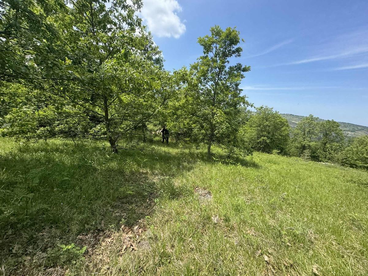 Kandıra Çalçada Satılık Kocaelide 1.212 M2 Arsa - 18