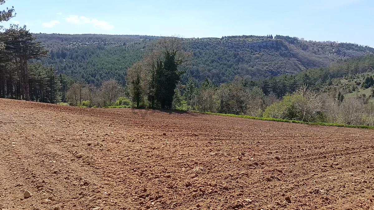 Sahibinden Gökpınar Satılık Tarla - 4