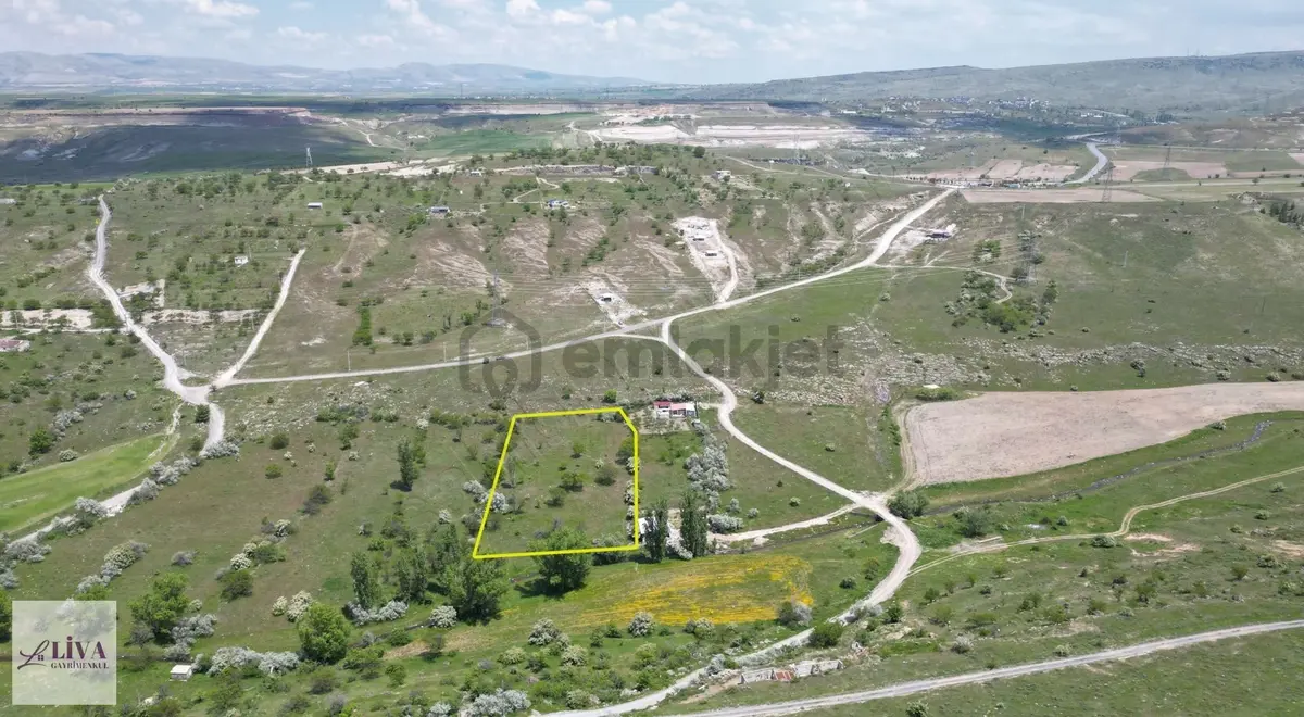 Liva'dan Reşadiye'de 6192 M² Tek Tapu Bağ - 13