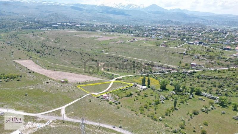 Liva'dan Reşadiye'de 5833 M² Tek Tapu Bağ - 8