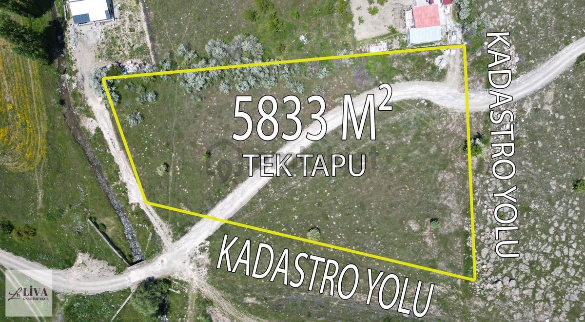 Liva'dan Reşadiye'de 5833 M² Tek Tapu Bağ