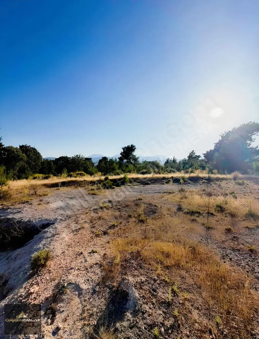 Kaş Palamut Satılık Tarla 3000 M2 - 9