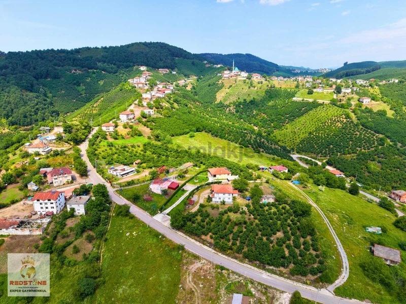 Doğa Manzaralı 2 Dönüm Fındık Bahçesi - 6