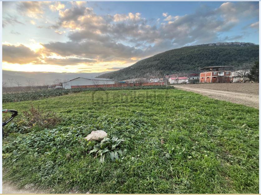 Master Realtor Nilvesttden 2.5 Kat İmarlı Arsa - 10