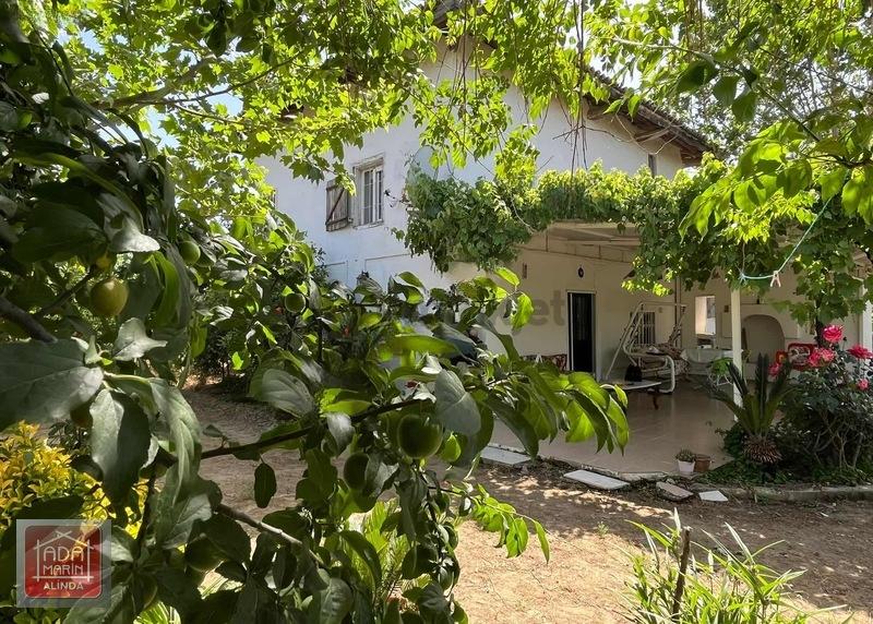 Ödemiş Mescitlide Yüksek Gelirli Satılık Çiftlik - 22