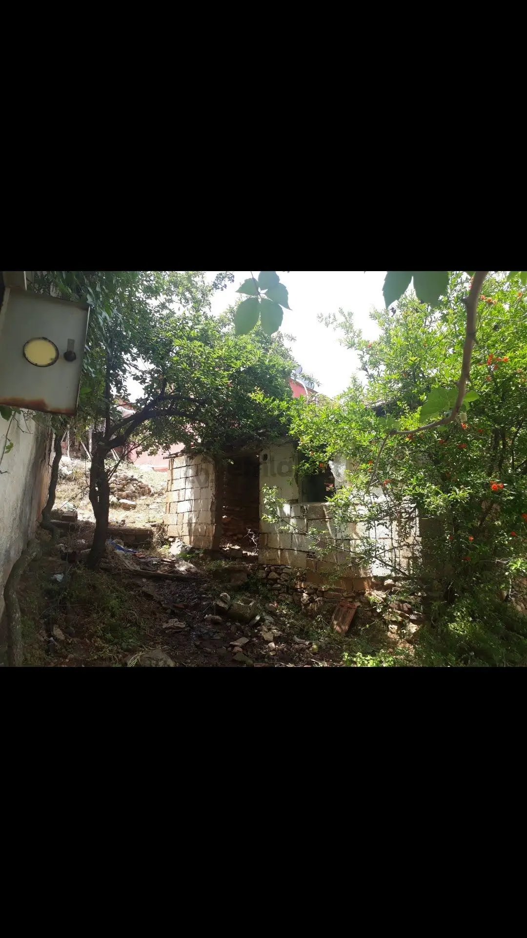 Kemalpaşa Bağyurdunda Tek Tapu Müstakıl Bahçe - 4