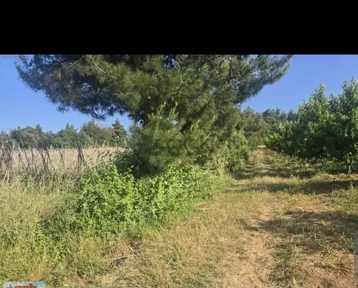 Sahibinden Sahibinden Satılık - 4
