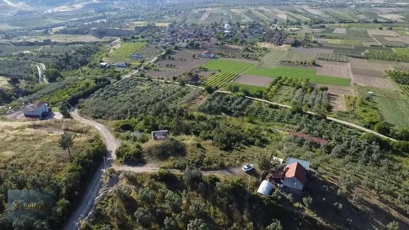 Bilecik Osmaneli Ciciler'de Kupon Zeytin Bahçesi - 7