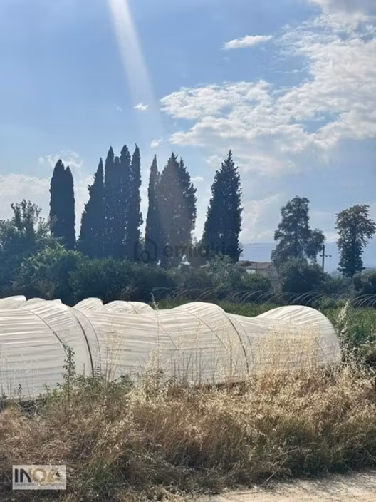 Sultanhisar Atça'da Satılık 4400 M² Tarla - 13