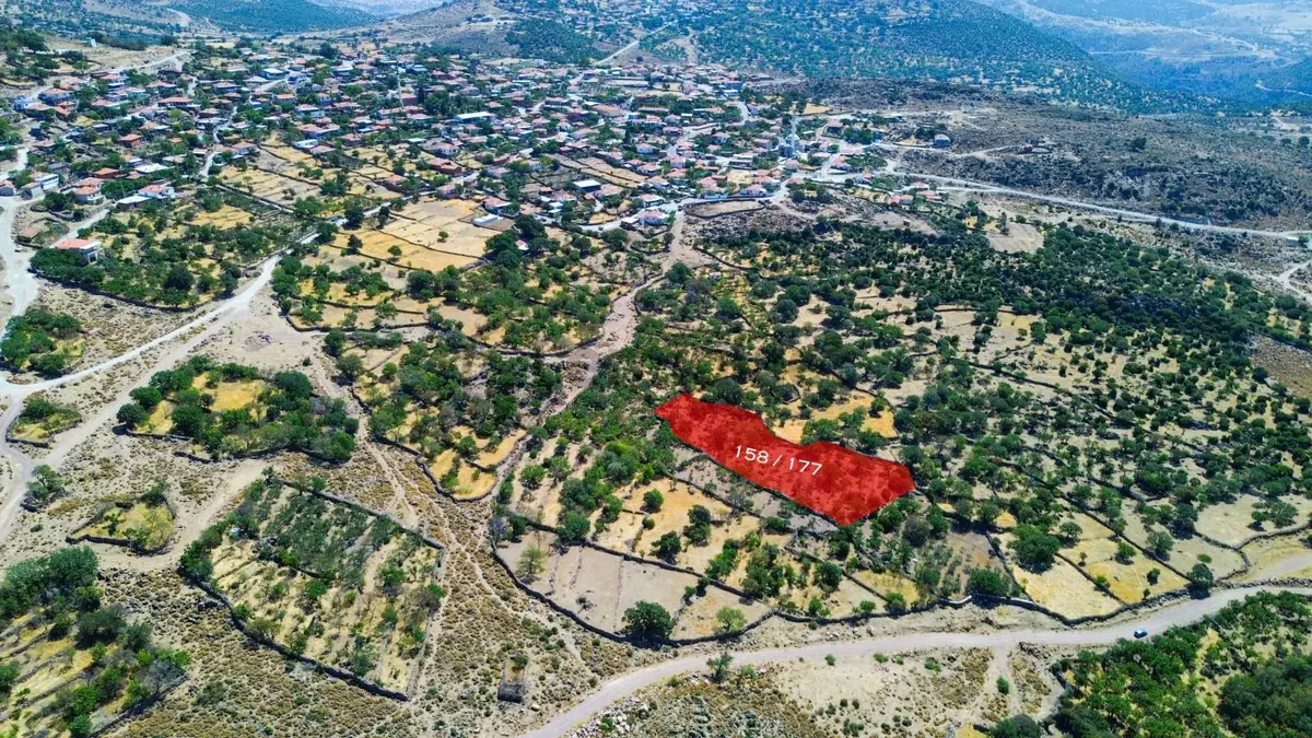 Yunusemre Dağyenice Mahallesinde Satılık Tarlalar - 3