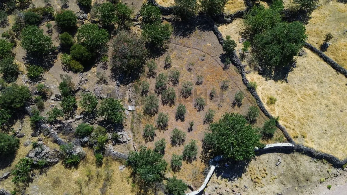 Yunusemre Dağyenice Mahallesinde Satılık Tarlalar - 16
