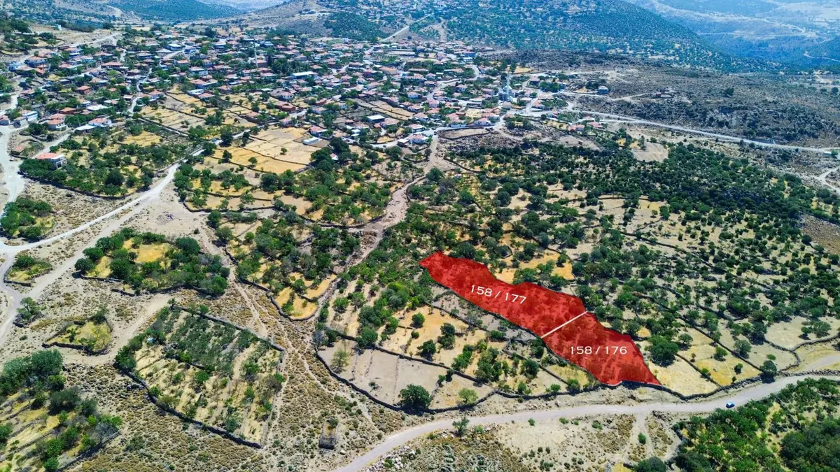 Yunusemre Dağyenice Mahallesinde Satılık Tarlalar - 12