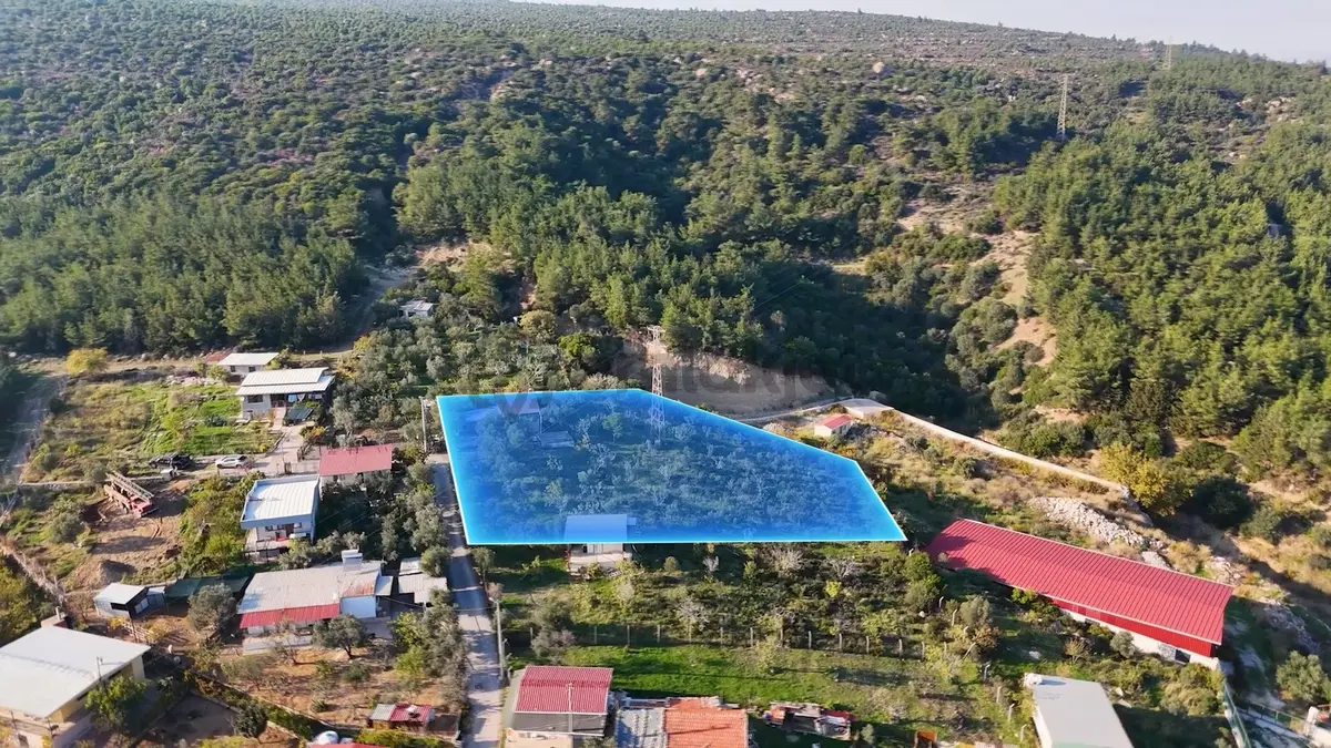 Doğalgaz Geldi!! 2.178 M² Bağ Ve Bahçe Arazisi - 33