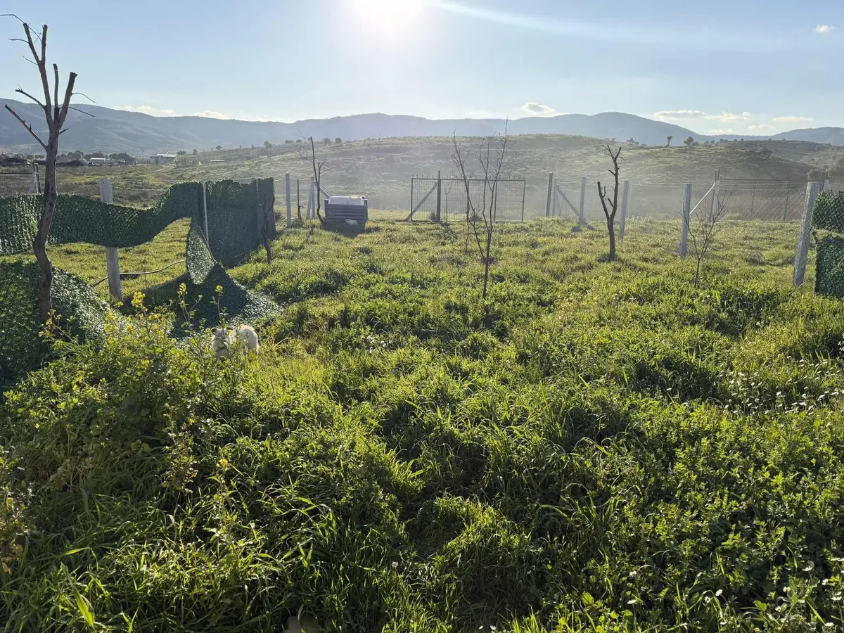 Aciilll Satılık 270 Metre Fırsat - 6