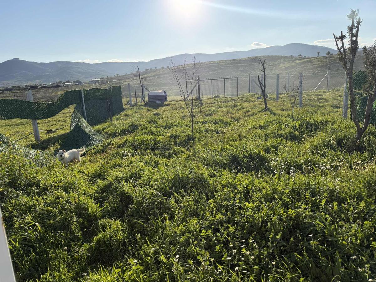 Aciilll Satılık 270 Metre Fırsat - 3