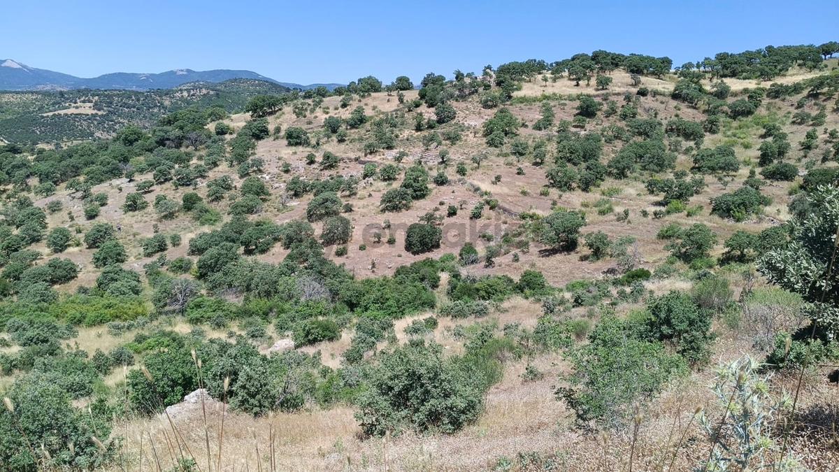 Baraj Manzaralı 7200 M2 Tarla - 5