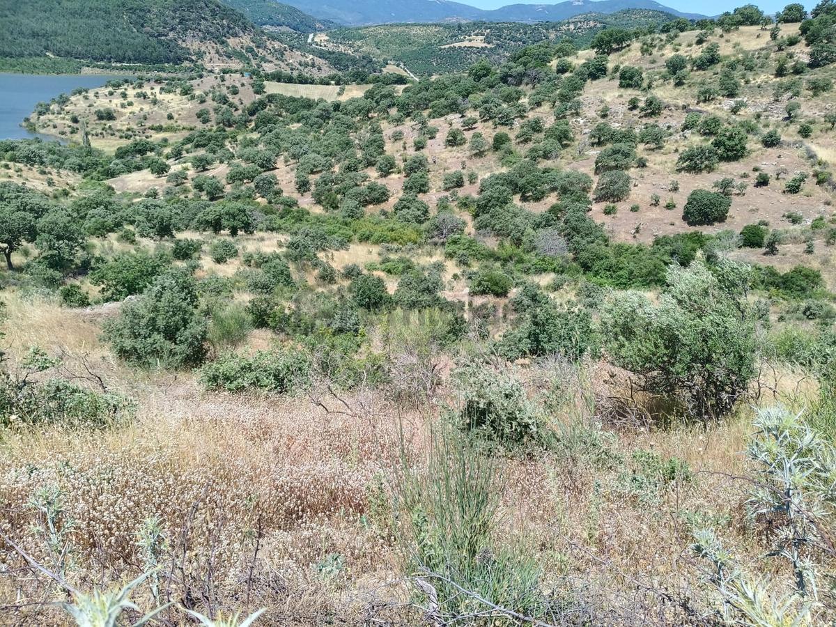 Baraj Manzaralı 7200 M2 Tarla - 12