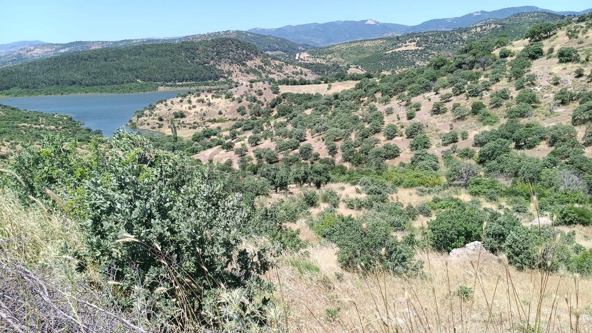 Baraj Manzaralı 7200 M2 Tarla - 9