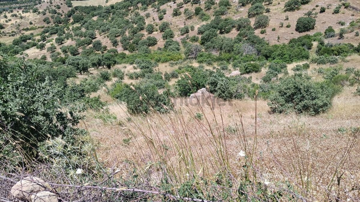 Baraj Manzaralı 7200 M2 Tarla - 7