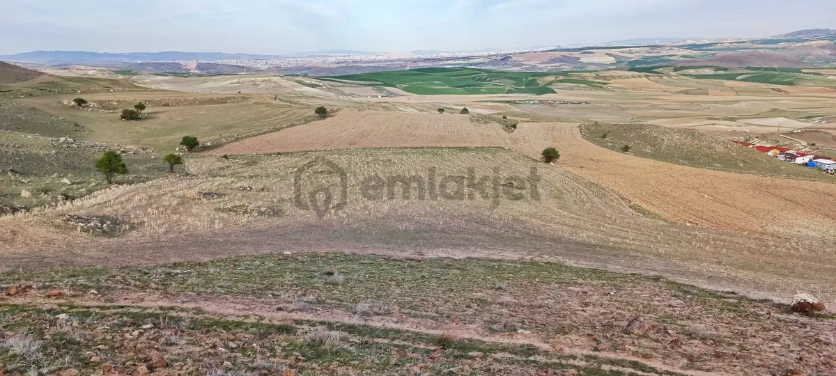 Ayaş Gökler'de 12 Dönüm Hayvancılığa Uygun Tek Tapu Tarla - 5