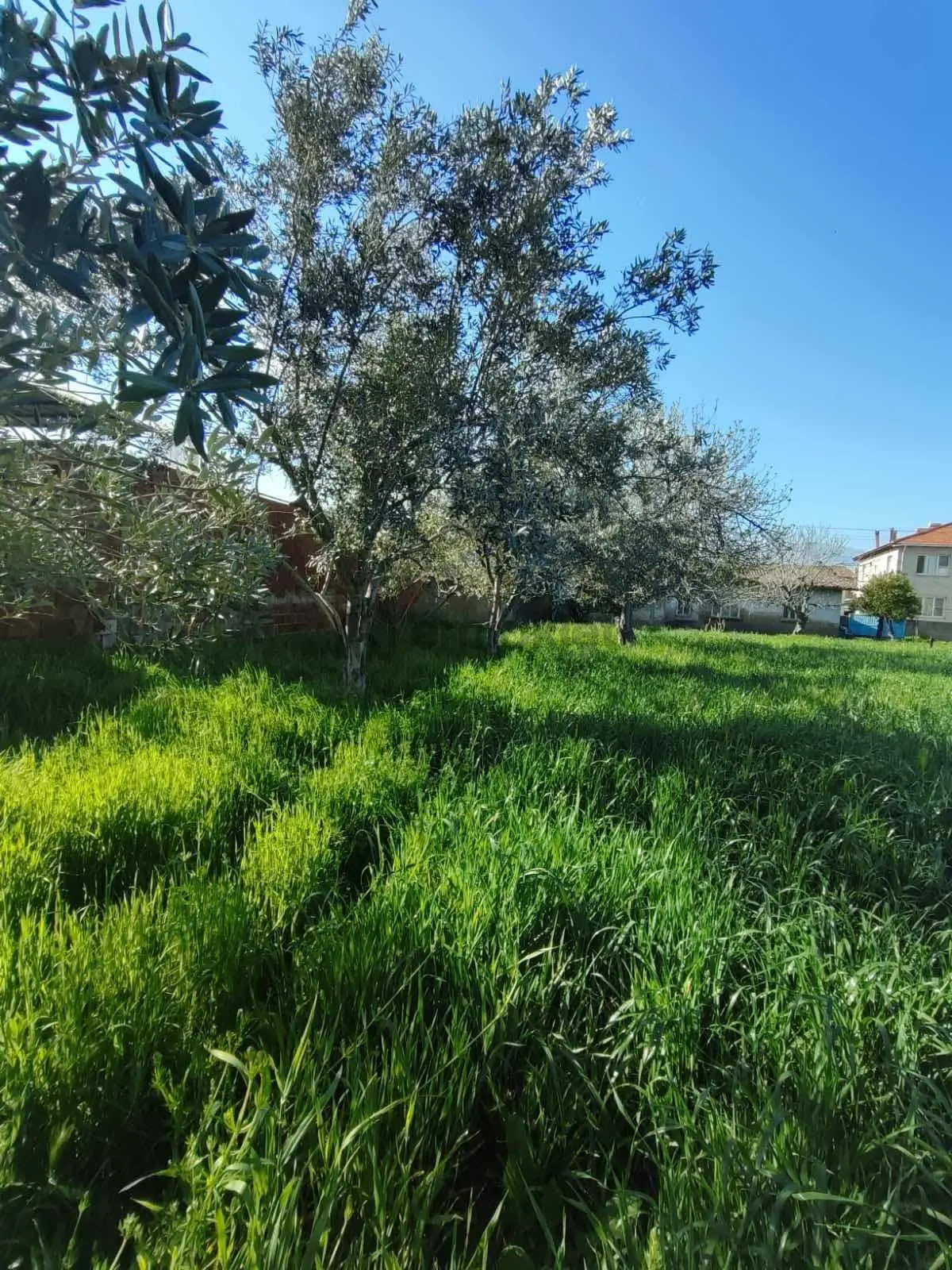 Tire Akar Emlaktan Satılık Villa İmarlı Arsa - 13
